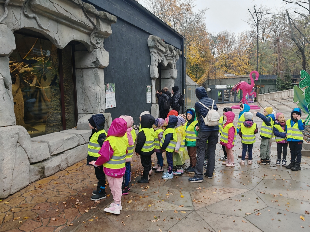 Wycieczka do ZOO - zaglądamy do lemurów.