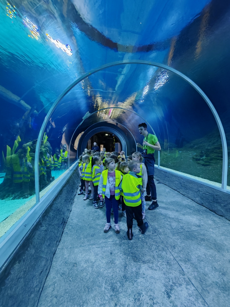 Wycieczka do ZOO - obserwujemy podwodny świat.