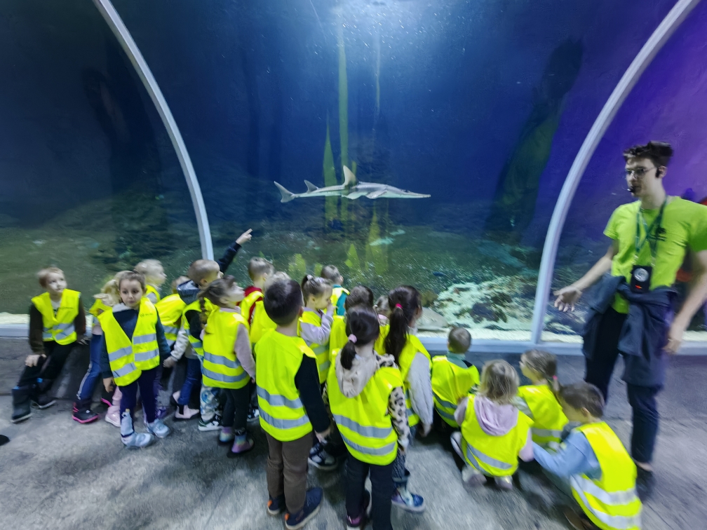 Wycieczka do ZOO - oko w oko z rekinem.