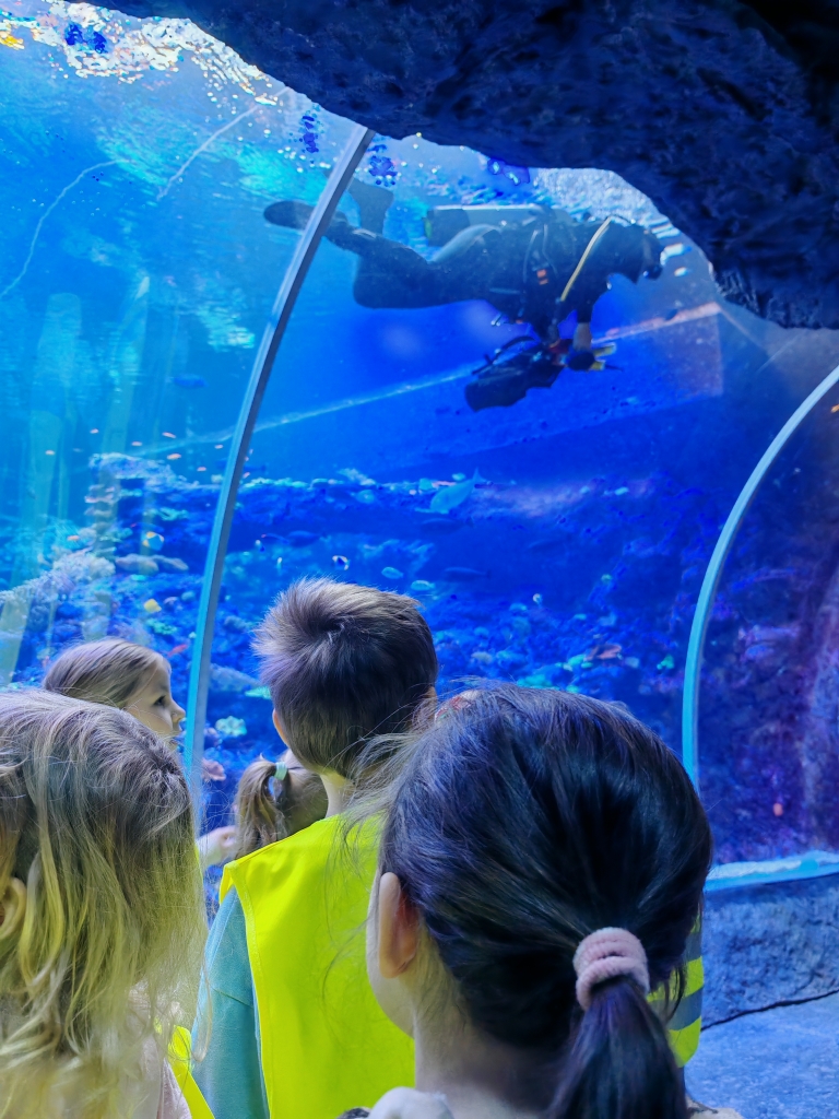 Wycieczka do ZOO - podglądamy nurków przy pracy.