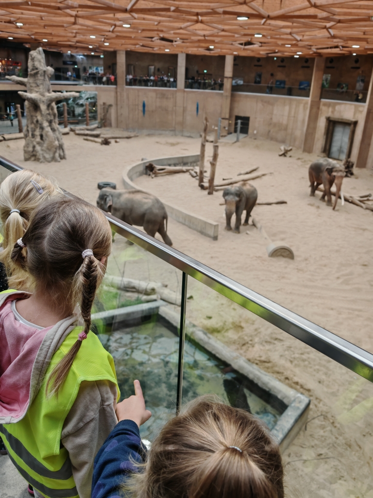 Wycieczka do ZOO - wizyta u słoni.