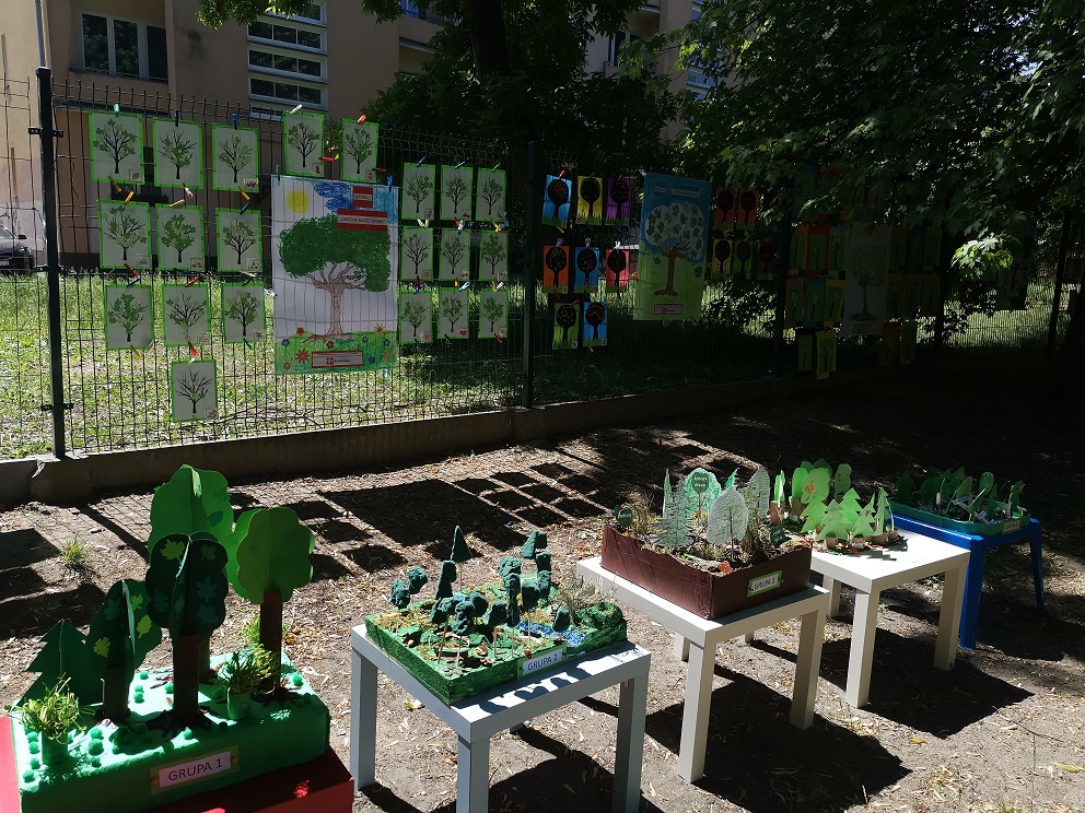 Projekt "W zielone gramy matematykę kochamy"- wystawa prac plastycznych i makiet lasu stworzonych p[rzez wszystkie grupy na pikniku.